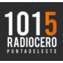 Radio Cero Punta 101.5 FM